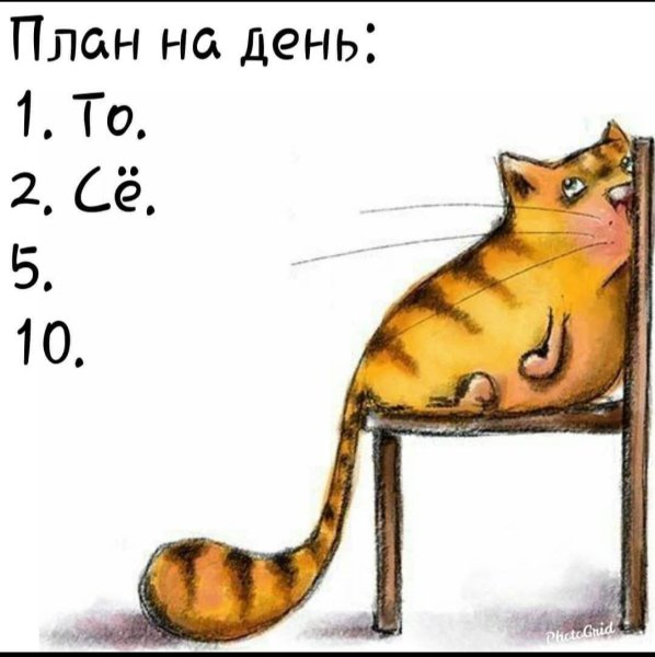 Слелуй за своей мечтой или спать