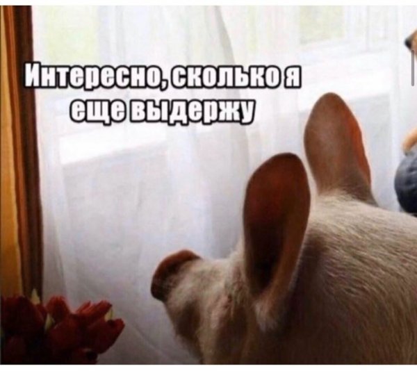 Просто интересно Мем