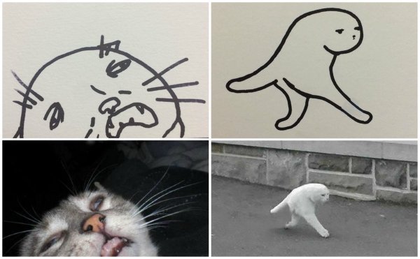 Мемы с нарисованными котами