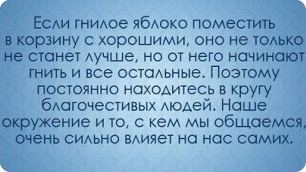 Высказывания о гнилых людях