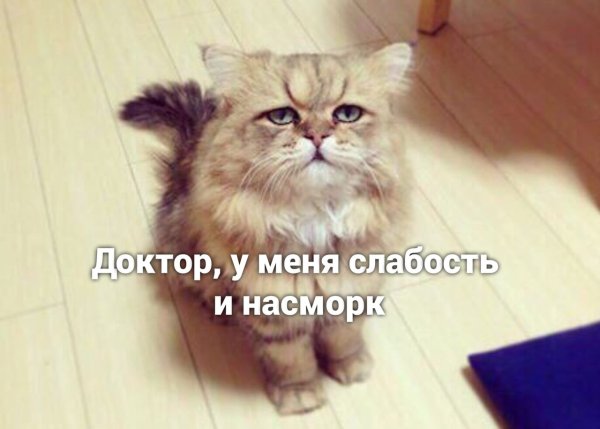 Доктор у меня слабость и насморк вы слабак
