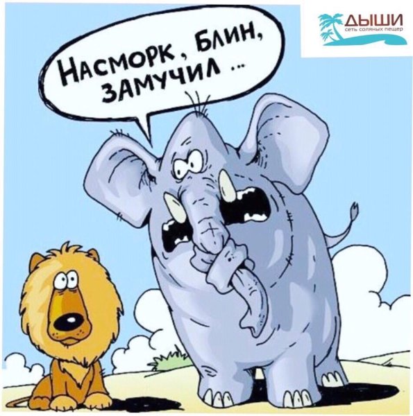 Насморк карикатура