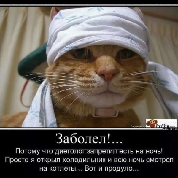Болею юмор