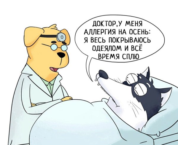Приколы про больную спину