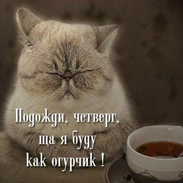 Бывает попьешь чайку закроешь