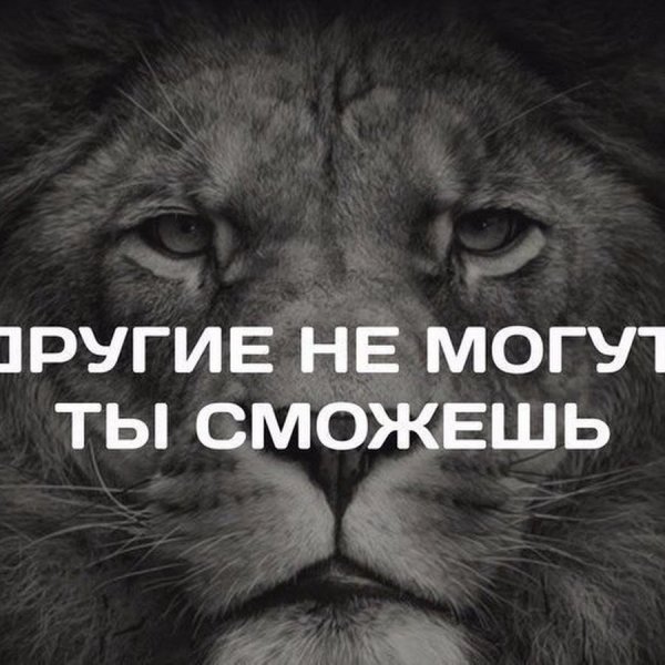 Цитаты про трудности