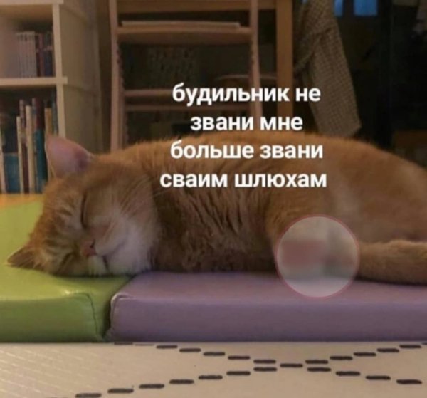 Будильник не звони мне больше
