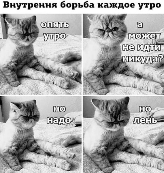 Утром надо быть особенно осторожным