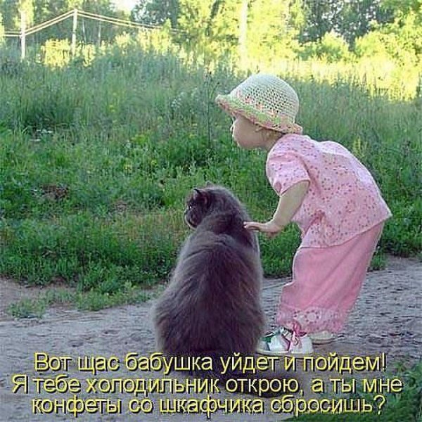 Амурский тигр рассада