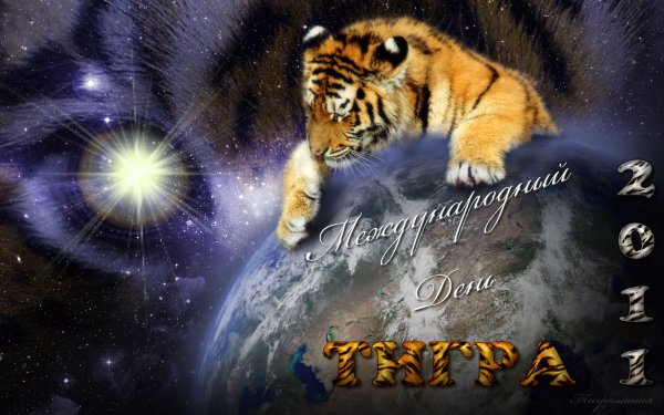 Всемирный день тигра