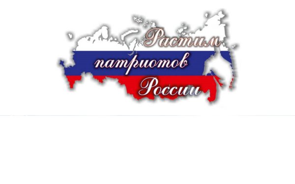 Проект Патриоты России