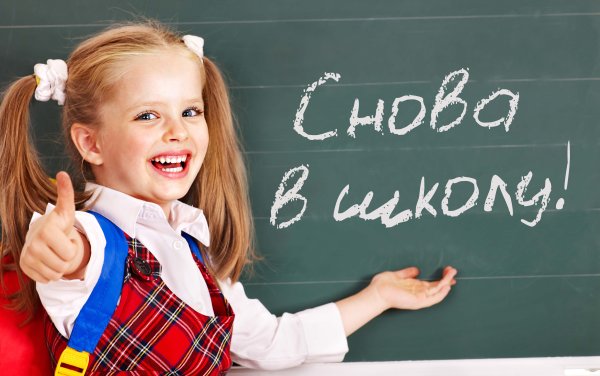 Сова школа
