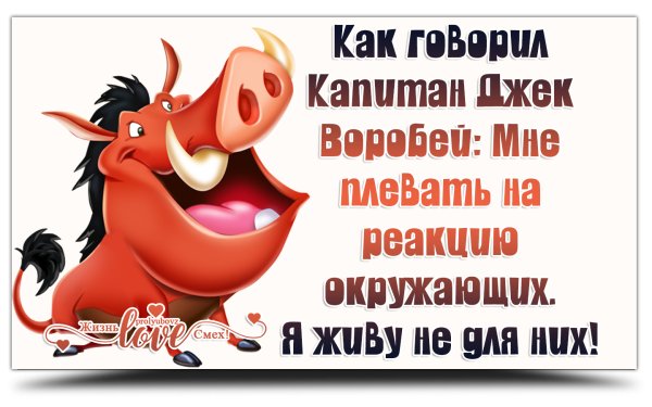 Мне плевать на мнение окружающих я живу не для них