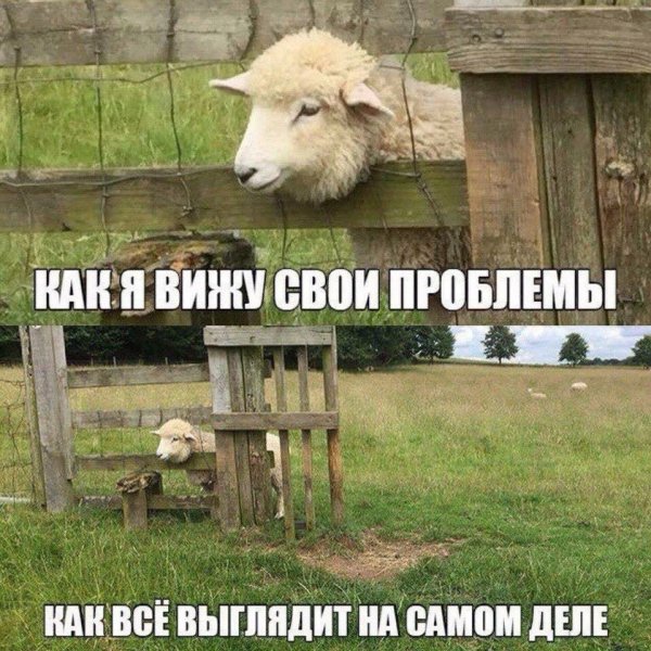 Прикольные картинки с надписями