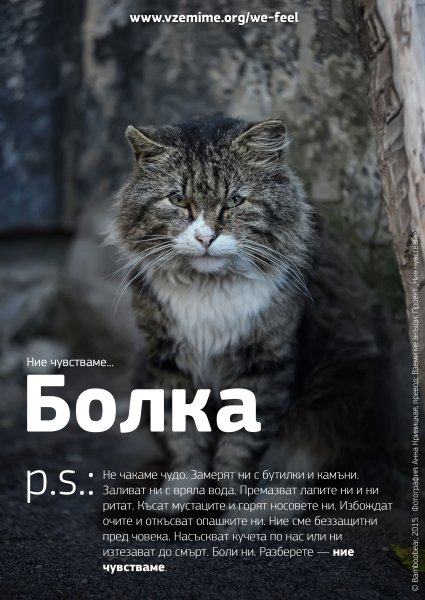 Бездомные животные мы чувствуем