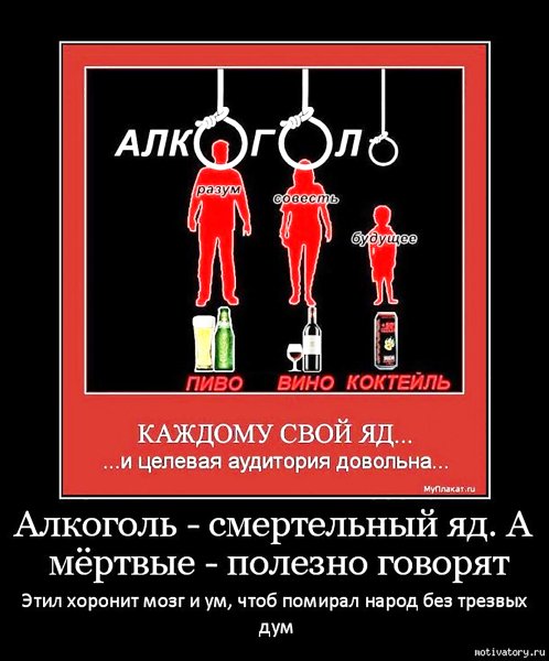 Цитаты про алкоголь смешные