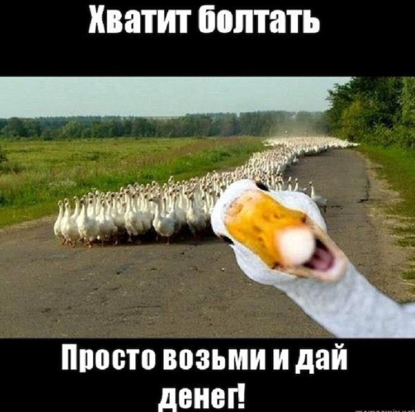 Шутки про карантин