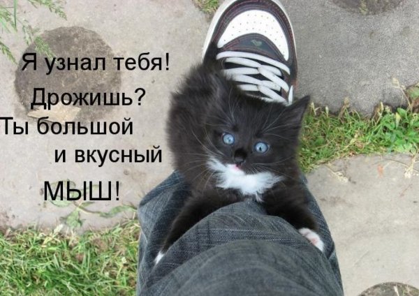 Спокойной ночи любимому