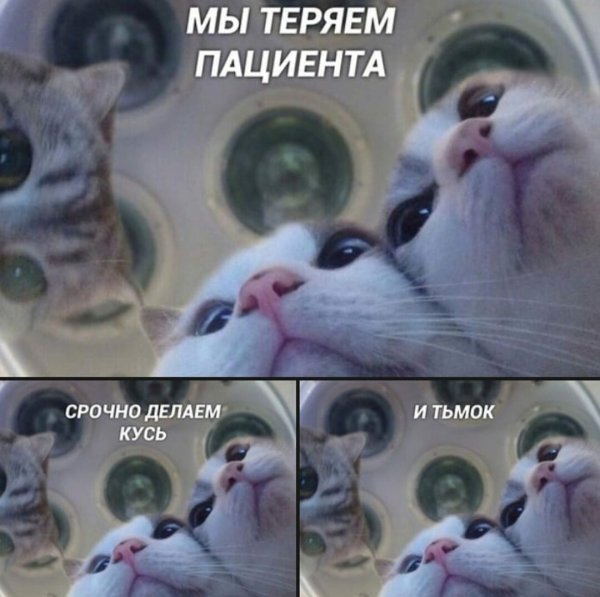 Джейк плачет