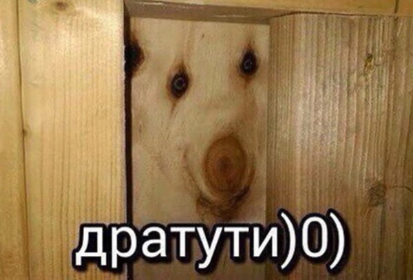 Нормальный кот