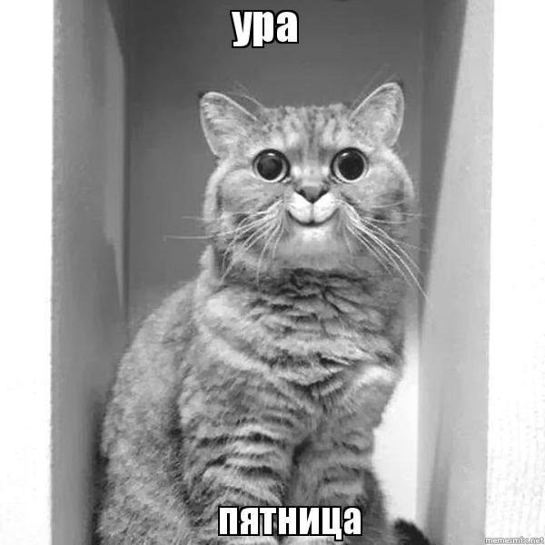 Прости меня