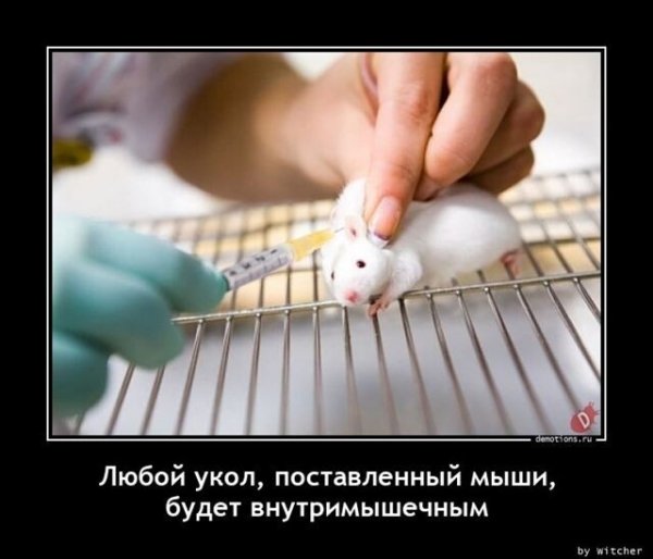 Демотиваторы смешные