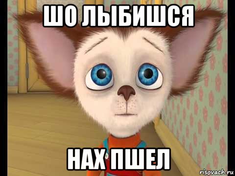 Барбоскины мемы
