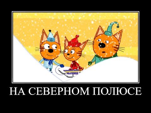 Демотиватор три кота Золушка трешгя