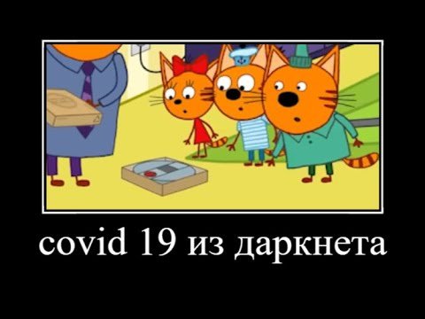 Три кота