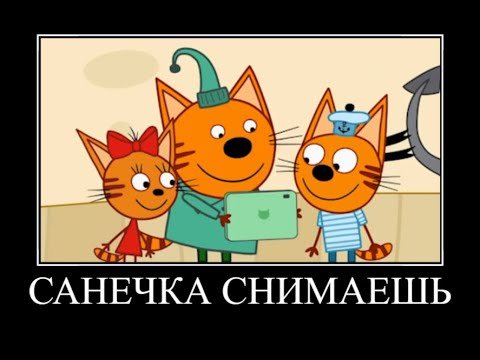 Демотиватор три кота (46 фото)