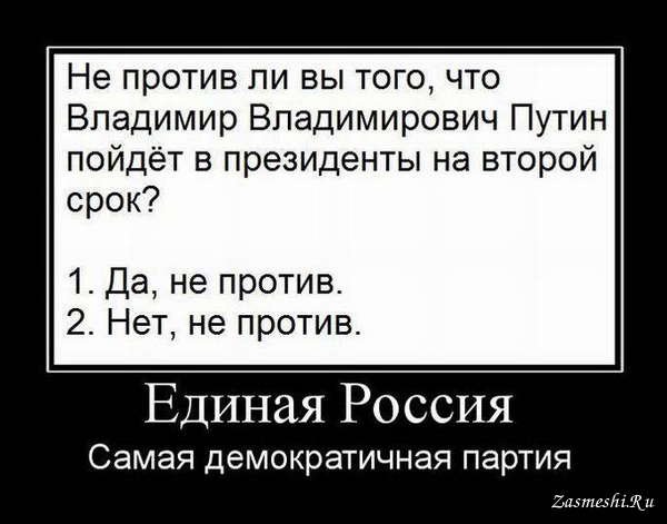 Еднная России демативатор