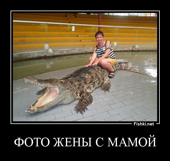 Фишки демотиваторы