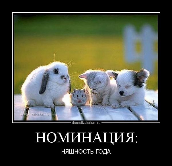 Мотиватор про дружбу