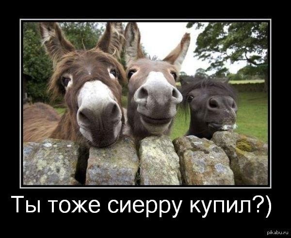 Детство без интернета демотиваторы