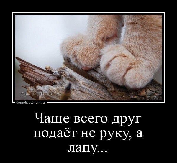 Демотиватор ценники