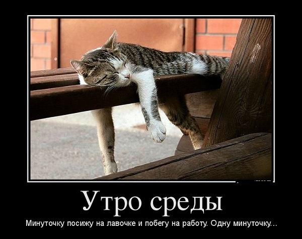 Демотиваторы про среду смешные