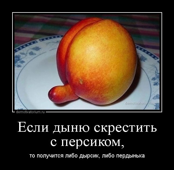 Демотиваторы смешные