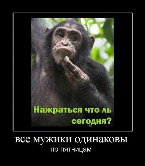 Пятничные демотиваторы