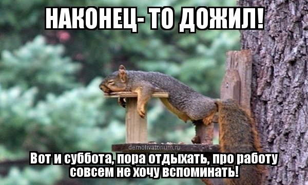 Ура наконец то выходной