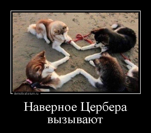 Демотиваторы коронавирус ржачные