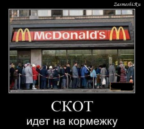 Макдональдс демотиваторы