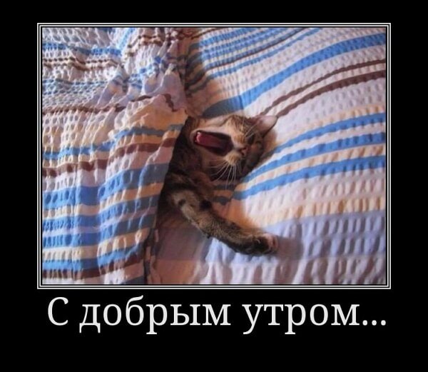 Прикольные утренние демотиваторы