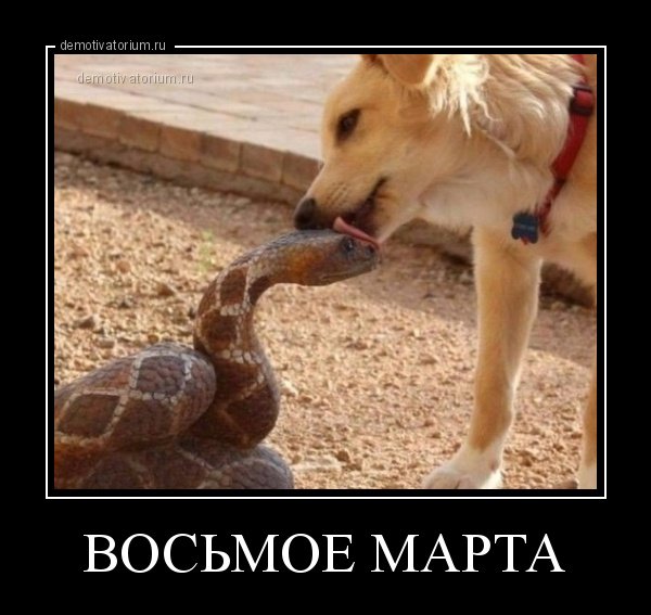 Восьмое марта демотиватор