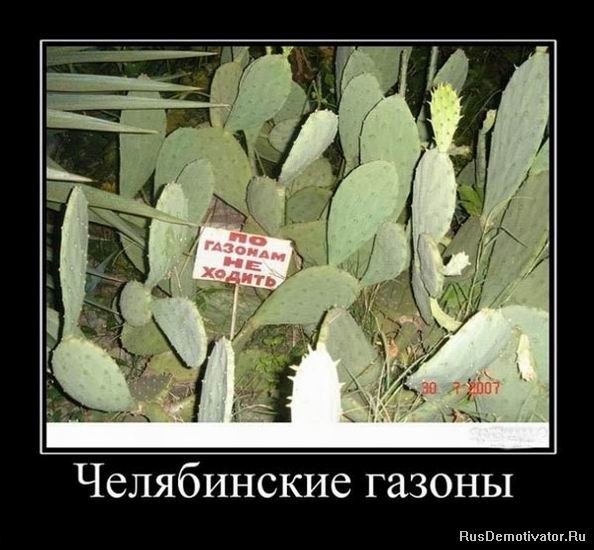 Суровый Челябинск демотиваторы