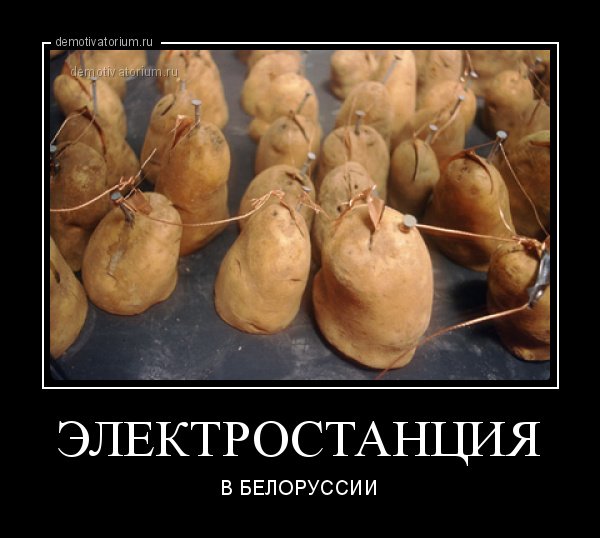 Картошка демотиватор