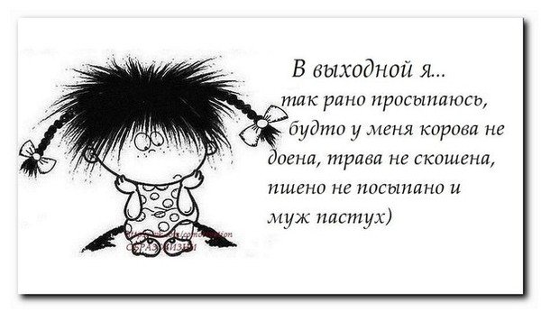 Выходные цитаты смешные