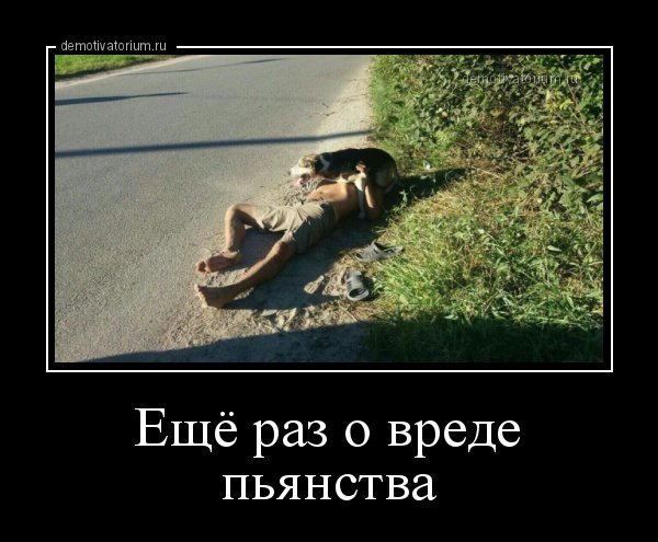 Демотиваторы о вреде пьянства