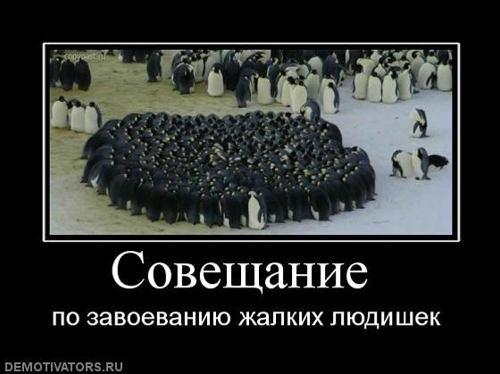 Совещание демотиватор