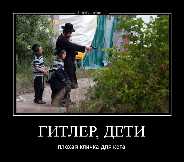 Демотиваторы про фюрера