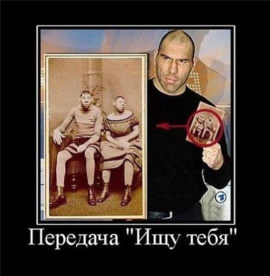 Демотиваторы про гаишников